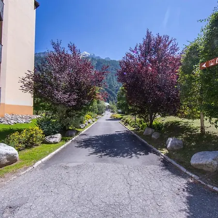 Grand Roc - Campanules 101 - Happy Apartman Chamonix