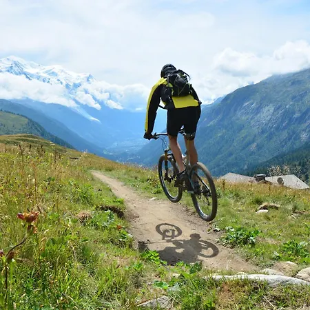 Grand Roc - Campanules 101 - Happy * Chamonix